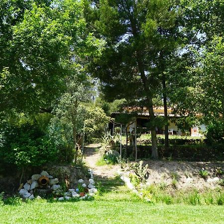 Villa Quinta do Vale Grande Albergaria-a-Velha Esterno foto