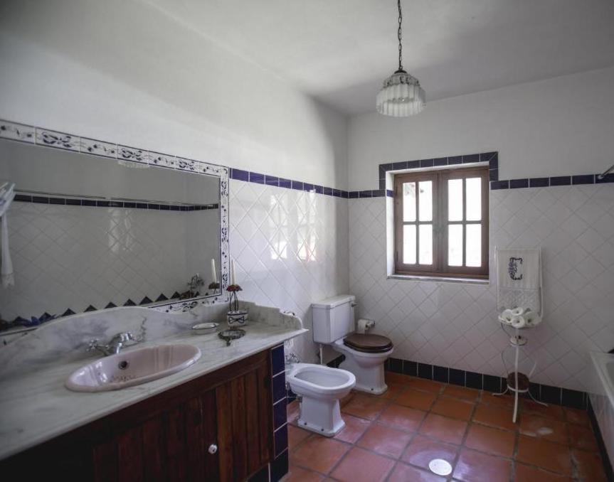 Villa Quinta do Vale Grande Albergaria-a-Velha Esterno foto