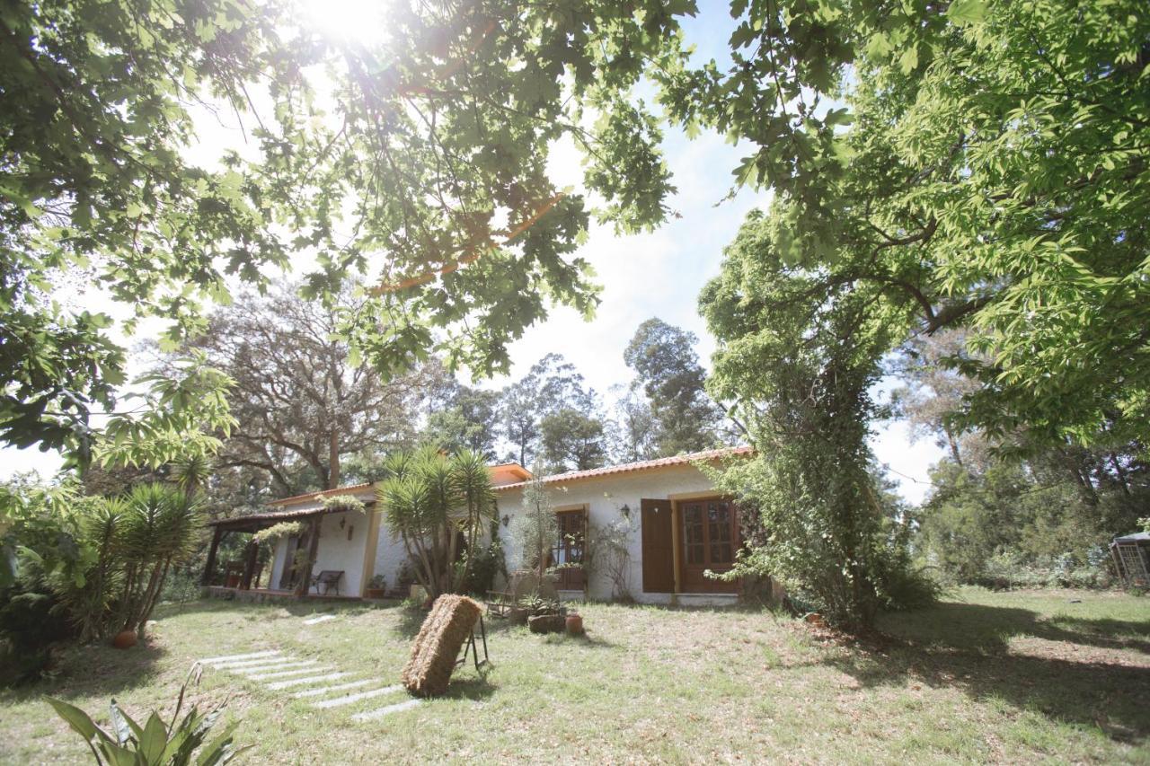Villa Quinta do Vale Grande Albergaria-a-Velha Esterno foto