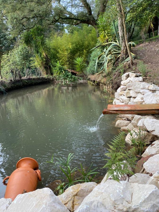 Villa Quinta do Vale Grande Albergaria-a-Velha Esterno foto