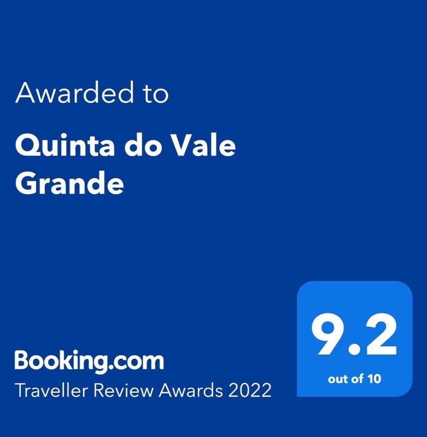 Villa Quinta do Vale Grande Albergaria-a-Velha Esterno foto