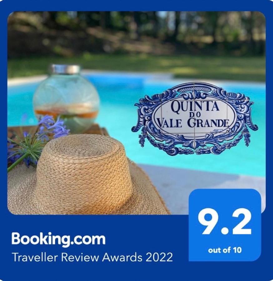 Villa Quinta do Vale Grande Albergaria-a-Velha Esterno foto