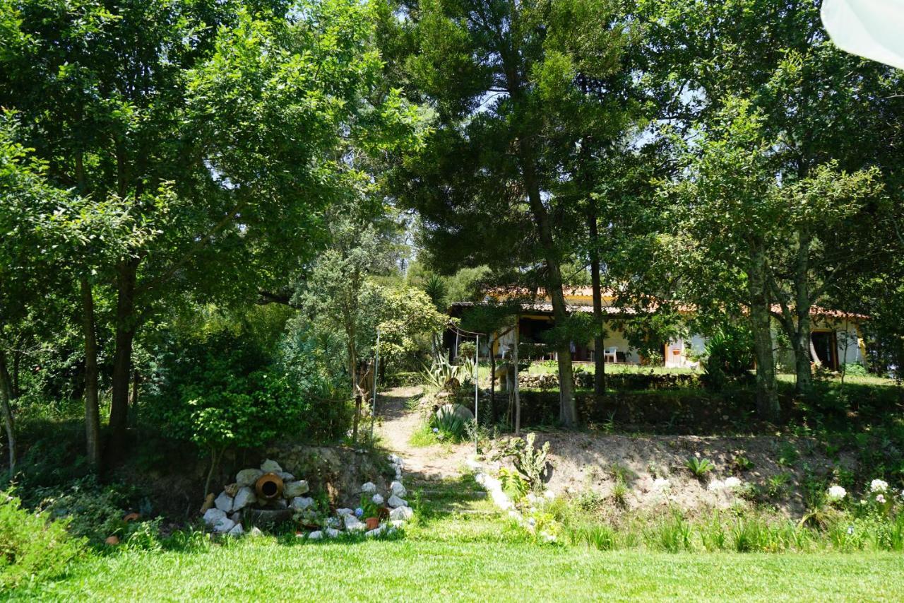 Villa Quinta do Vale Grande Albergaria-a-Velha Esterno foto