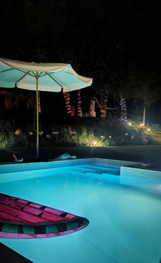 Villa Quinta do Vale Grande Albergaria-a-Velha Esterno foto