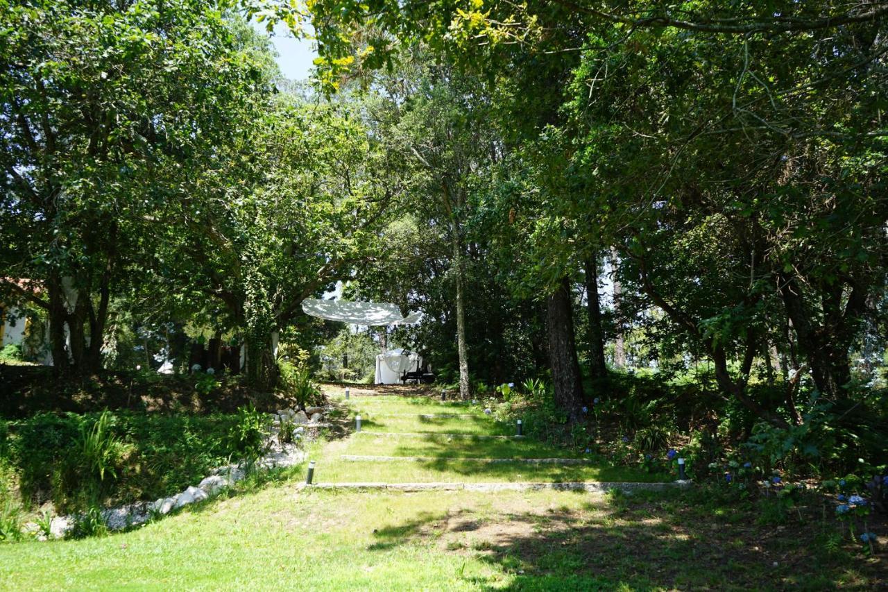 Villa Quinta do Vale Grande Albergaria-a-Velha Esterno foto