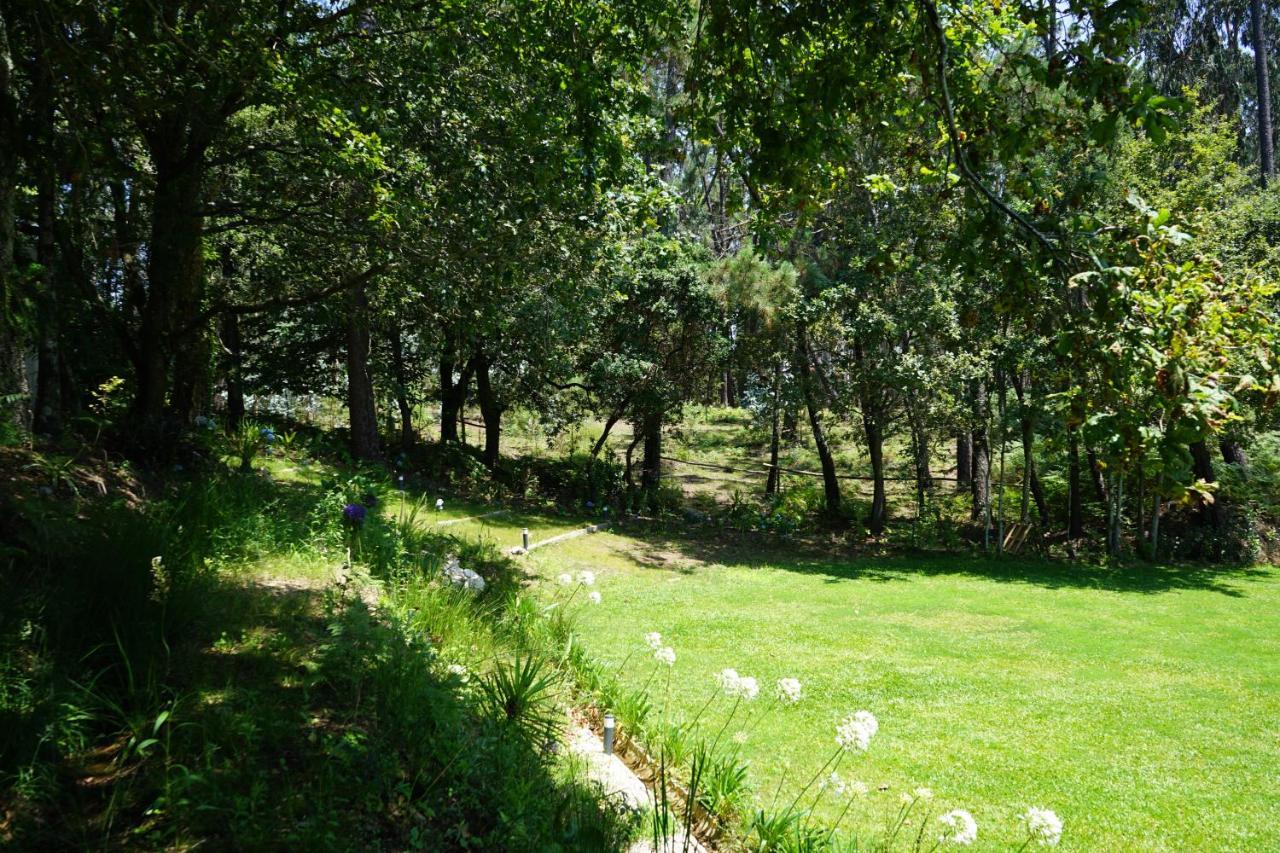 Villa Quinta do Vale Grande Albergaria-a-Velha Esterno foto