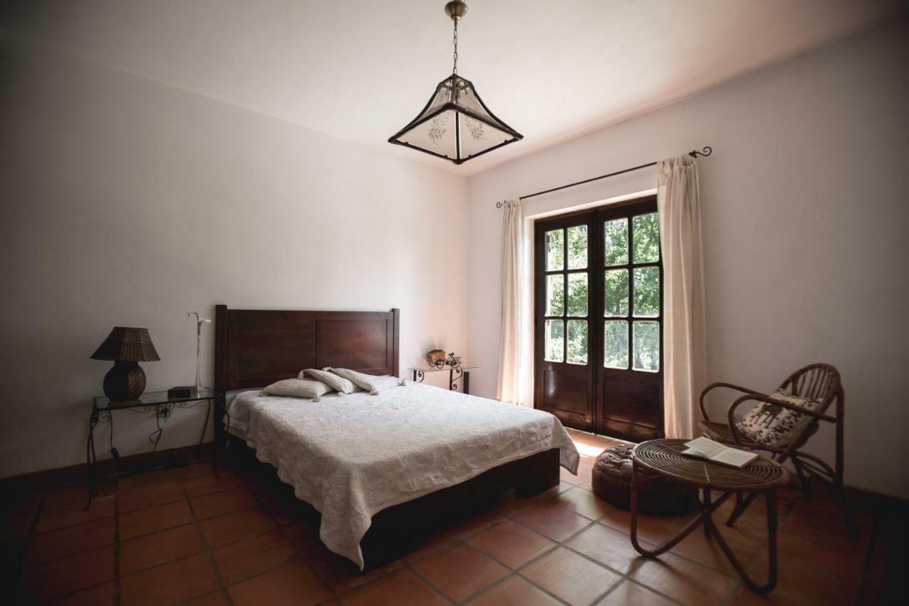 Villa Quinta do Vale Grande Albergaria-a-Velha Esterno foto
